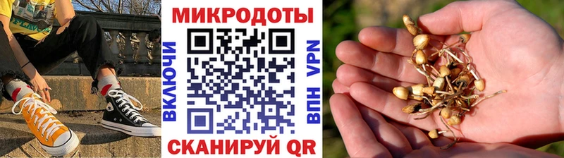 Псилоцибиновые грибы мухоморы  Купить закладки  Новая Усмань 